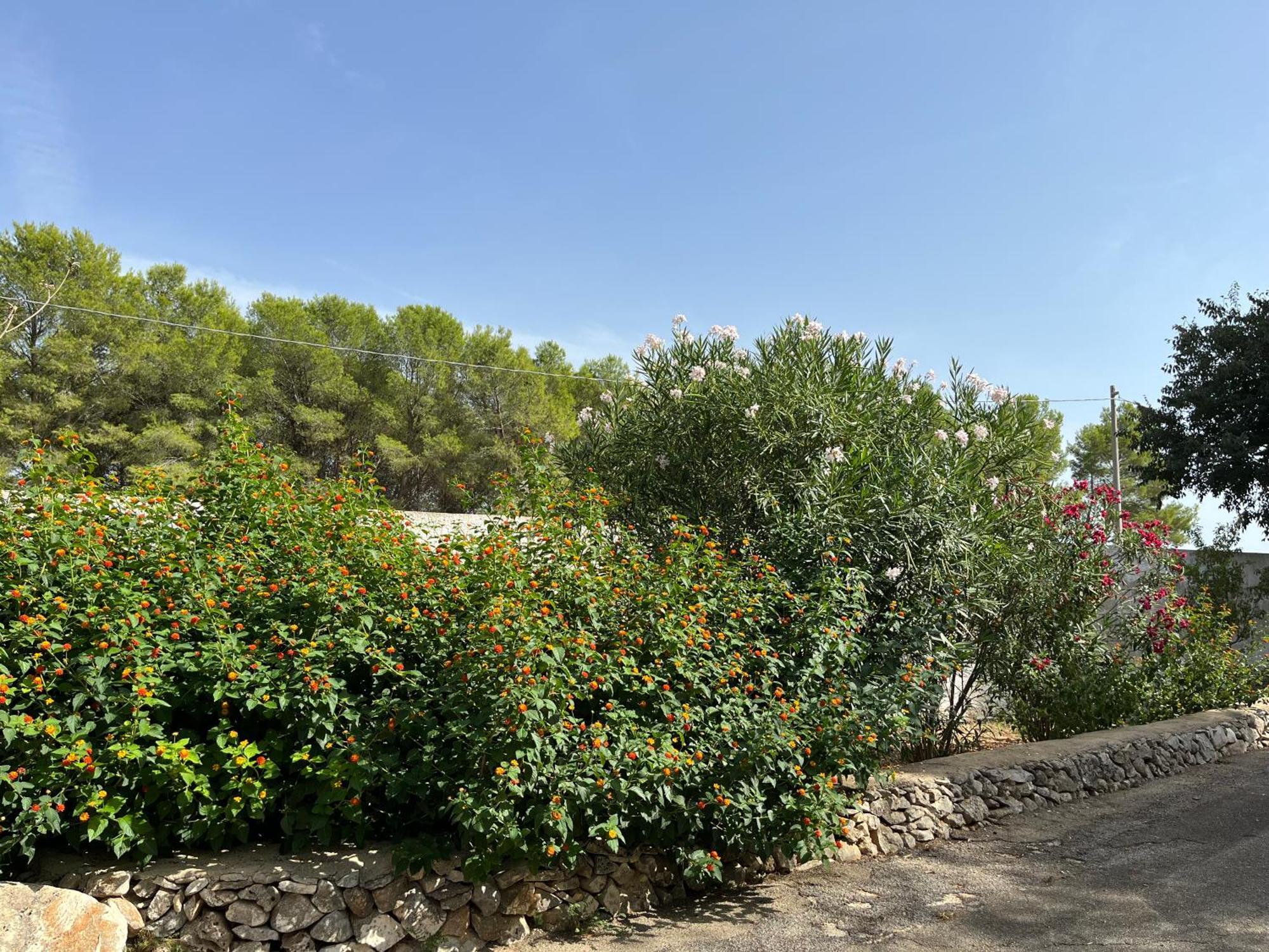 Casette Masseria La Camardia Sava Luaran gambar