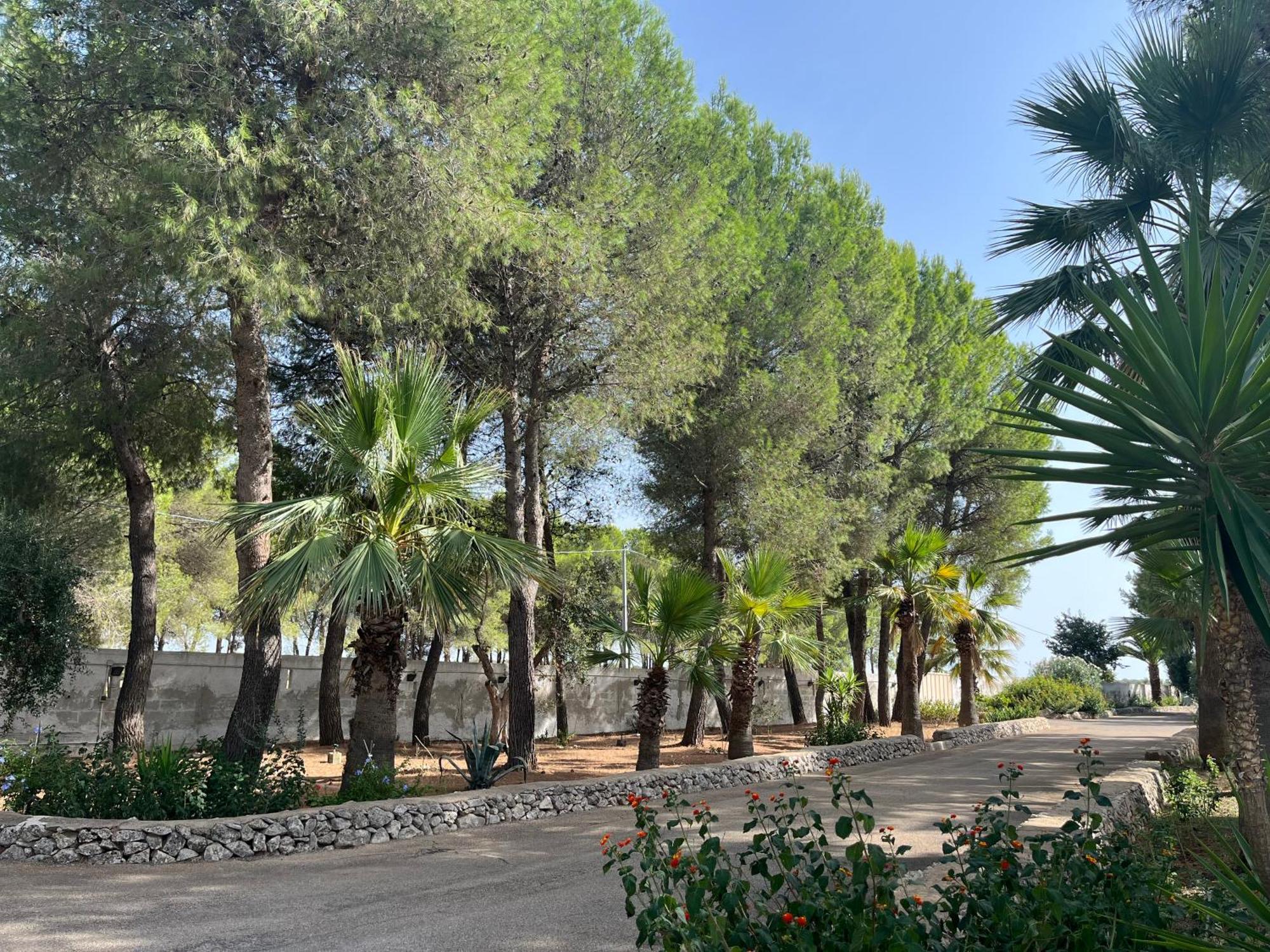 Casette Masseria La Camardia Sava Luaran gambar