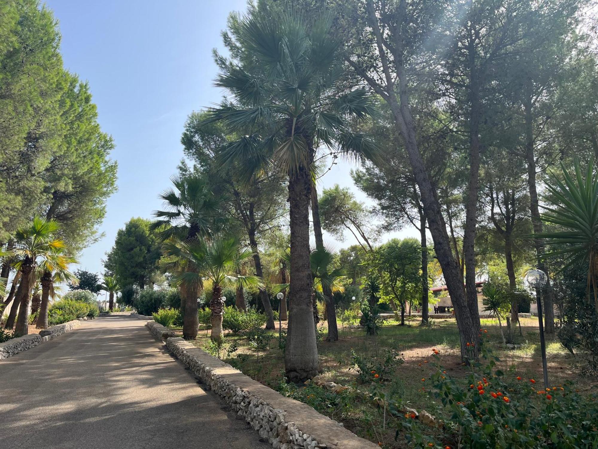 Casette Masseria La Camardia Sava Luaran gambar