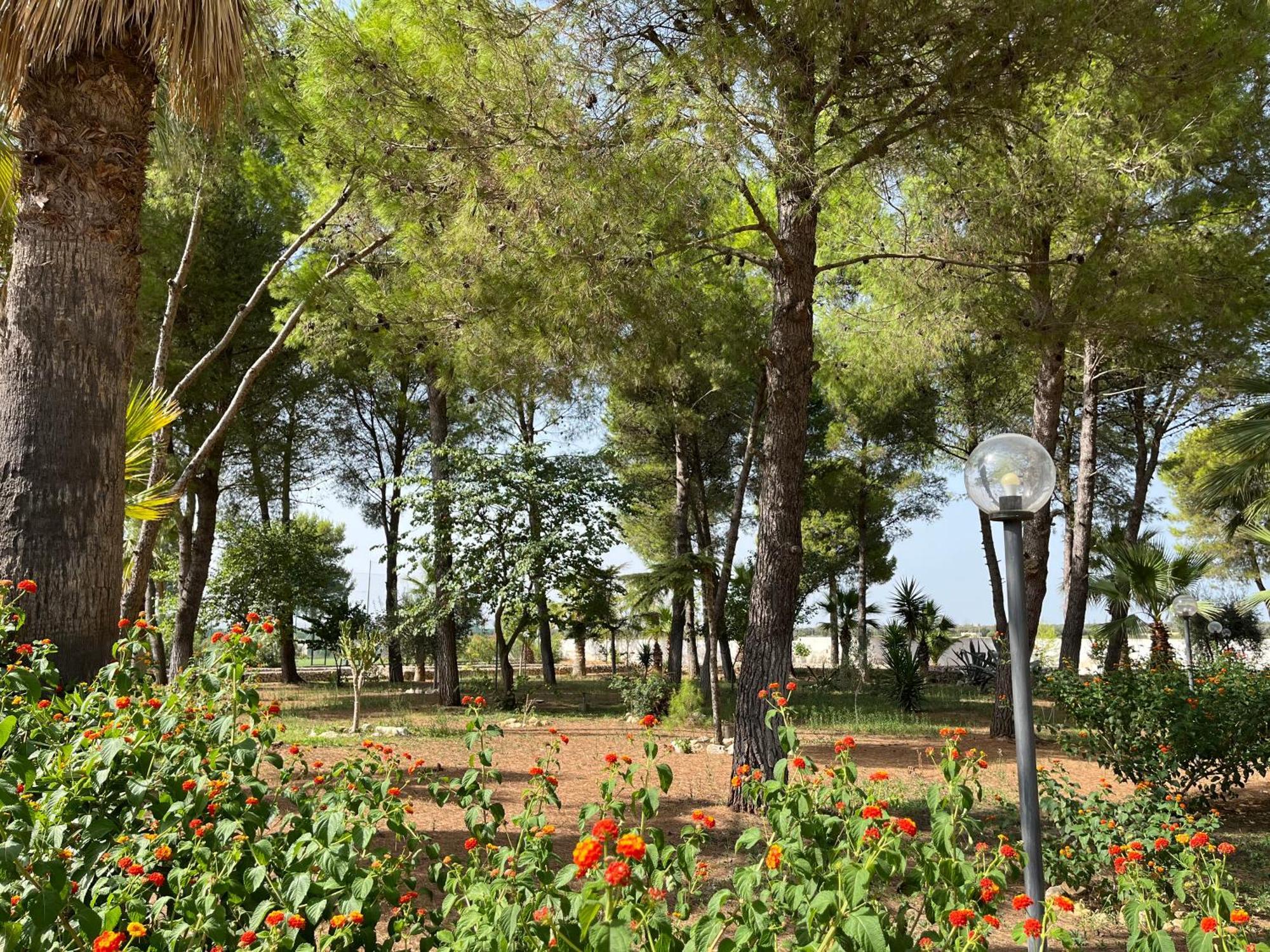 Casette Masseria La Camardia Sava Luaran gambar