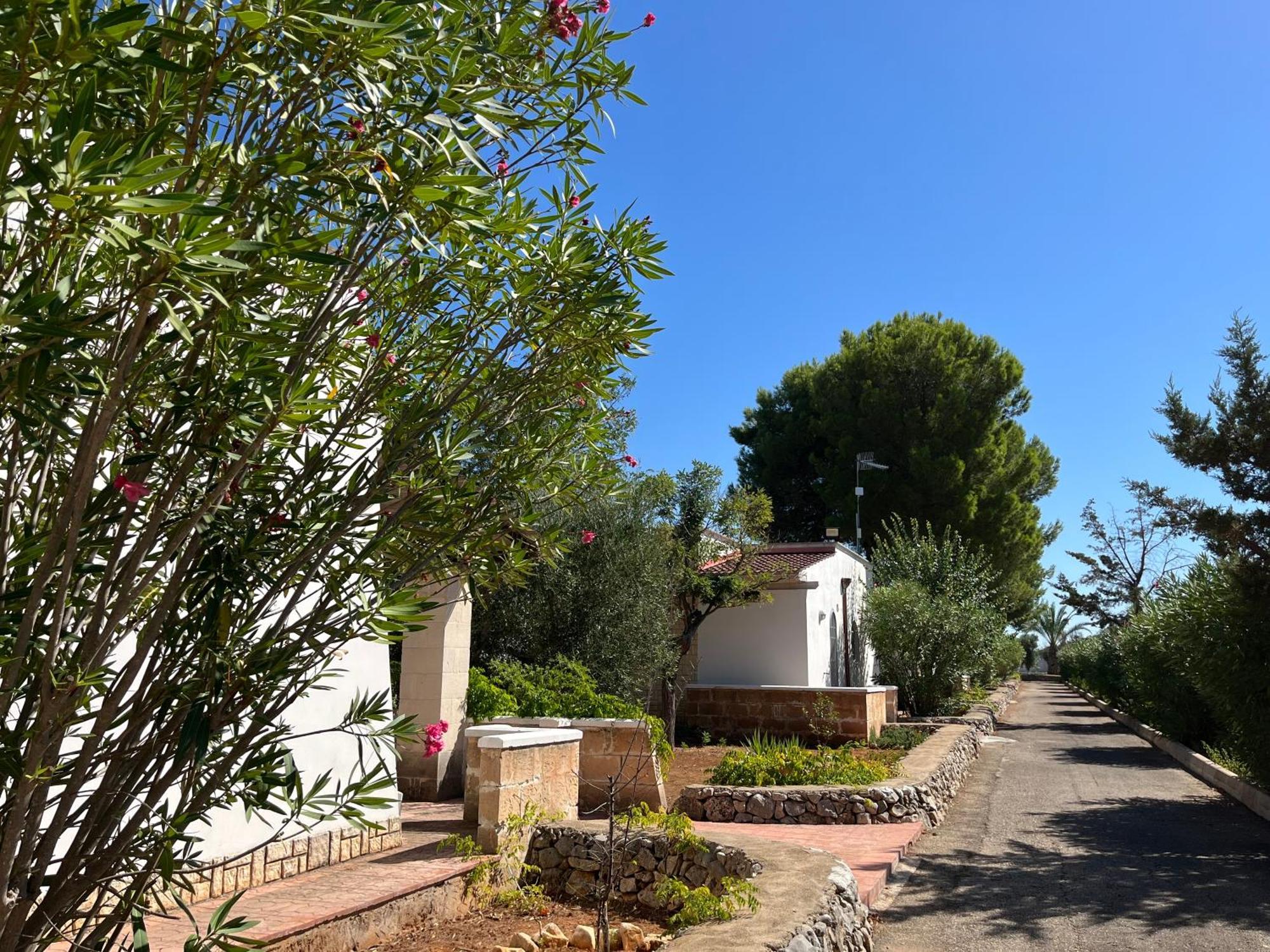 Casette Masseria La Camardia Sava Luaran gambar